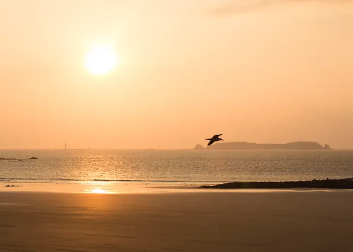 Hôtel accueillant les animaux: Escale Oceania Saint Malo